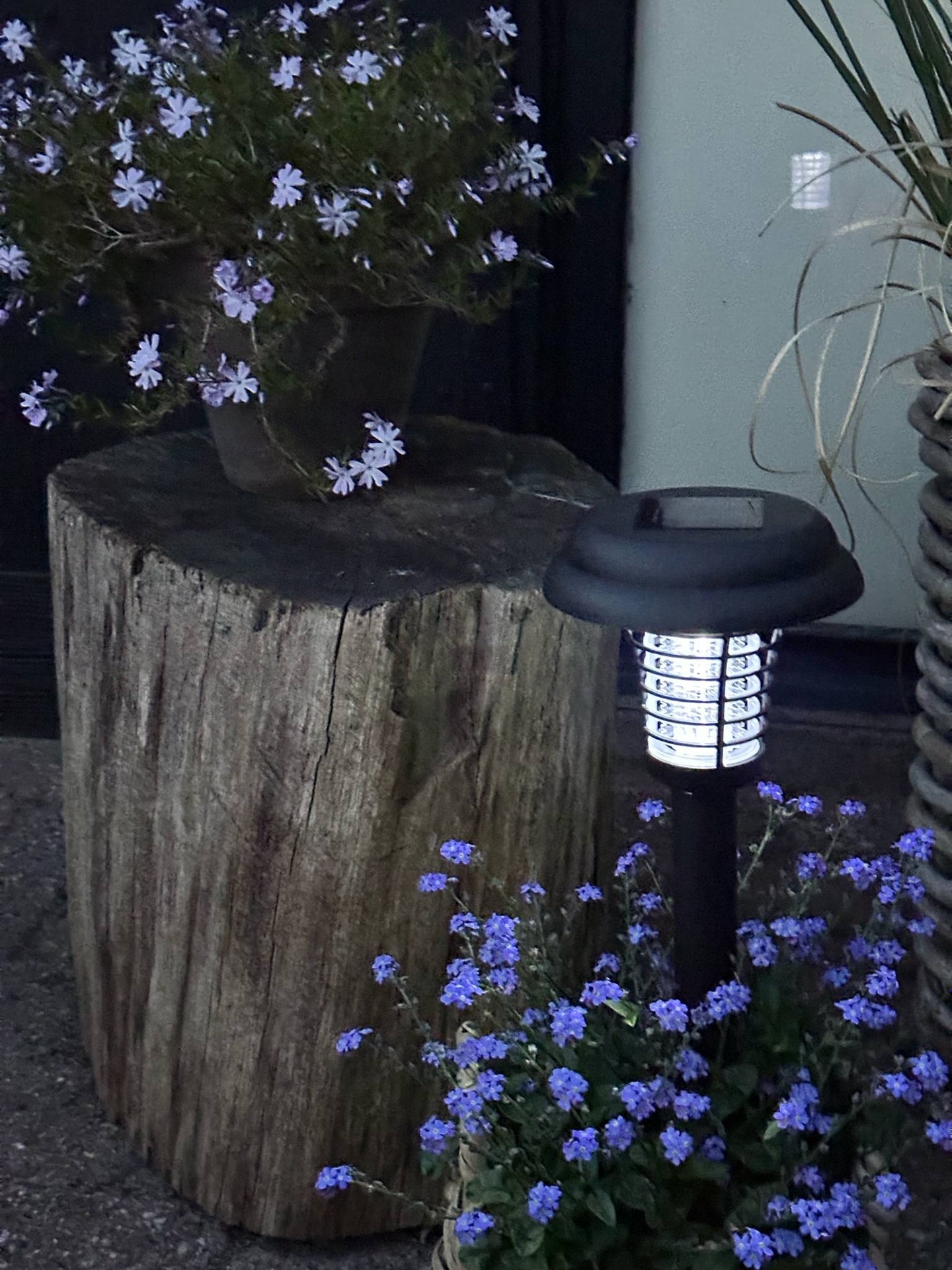 Fackel MOSQUITO 2IN1 SOLAR
