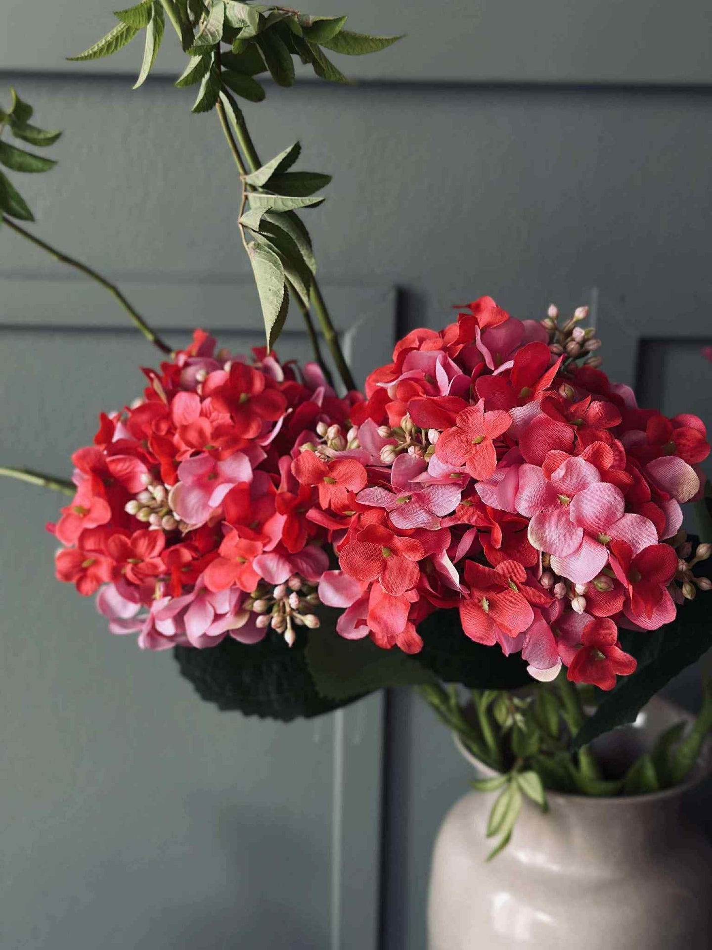 Hortensie Pink