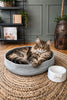 Katzenkorb - Grau