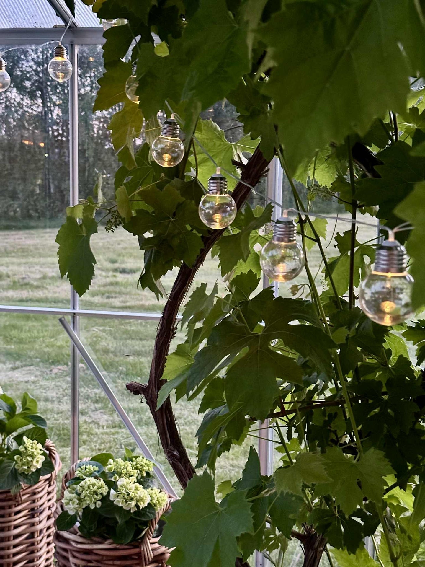 Lichterkette Laura mit Solarzellen - Außenbereich mit 10 und 20 Lichtern
