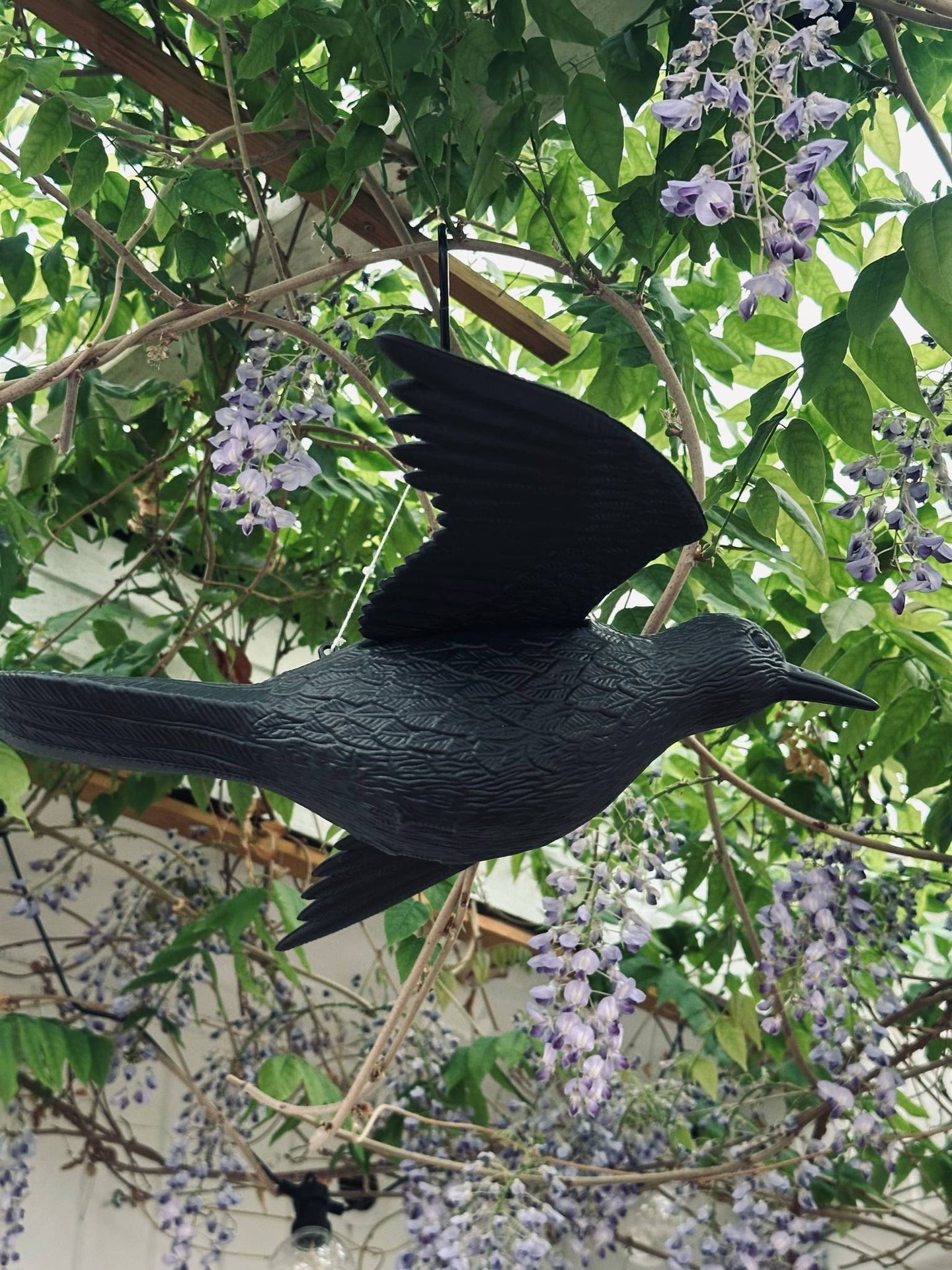 Vogel - RAVEN BLACK