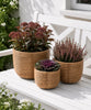 Korbset Rattan - Natur 3 Stk.