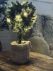 Baum mit Lichterkette - 36 cm.