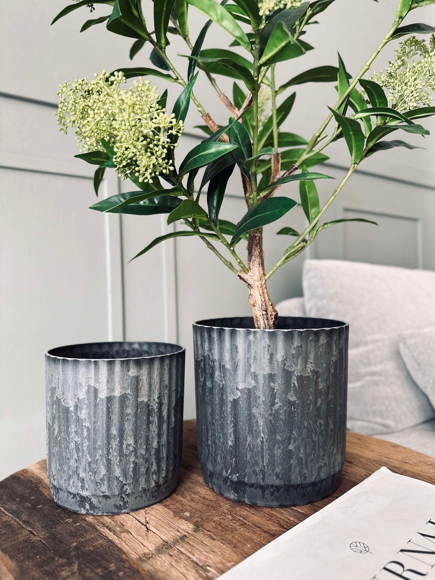 Pflanztöpfe im Beton-Look - Set mit 2 Stück