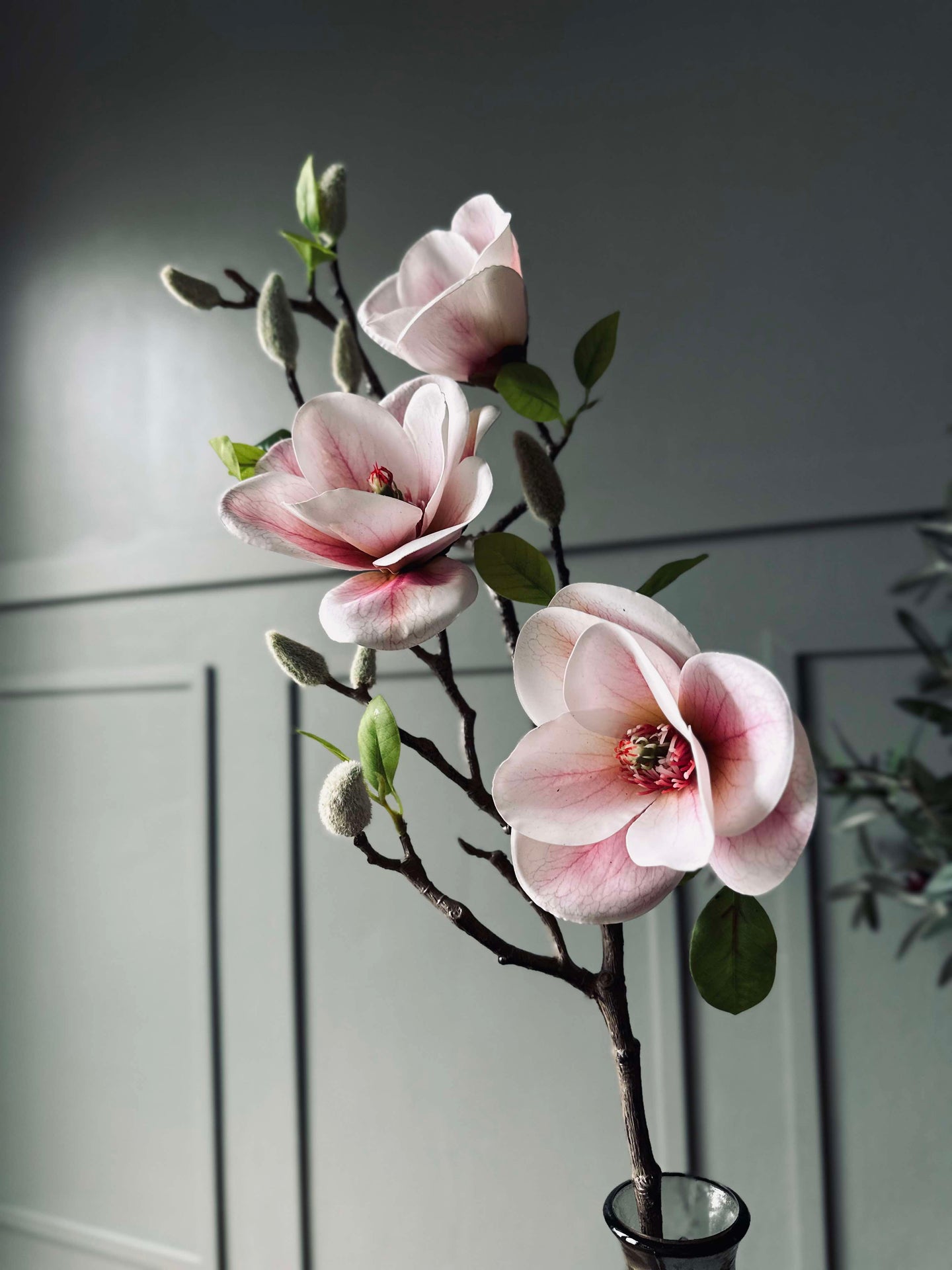Magnolie - Rosa