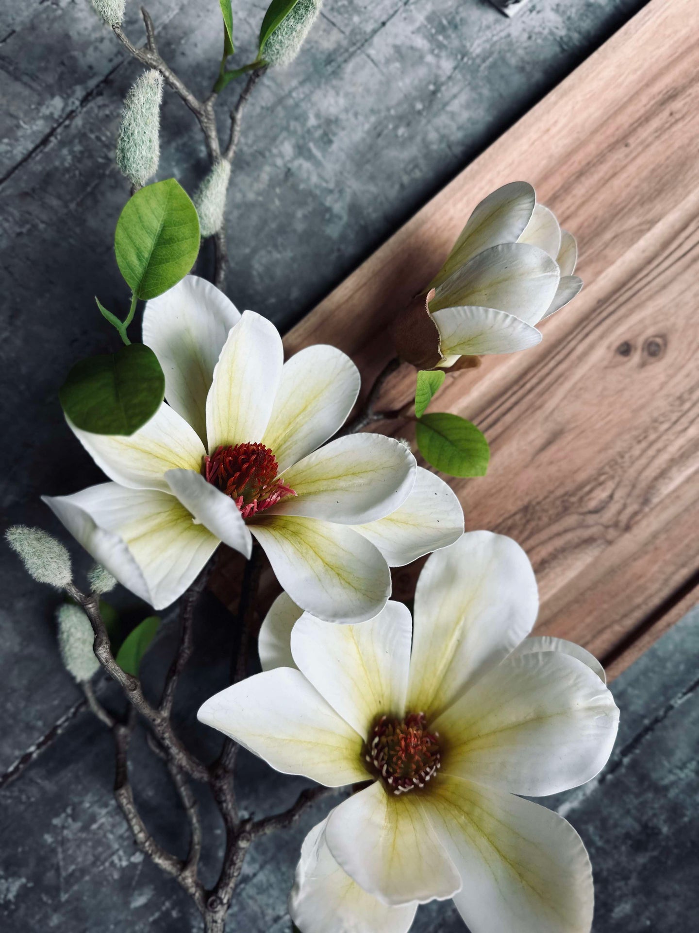 Blume Magnolia - Weiß