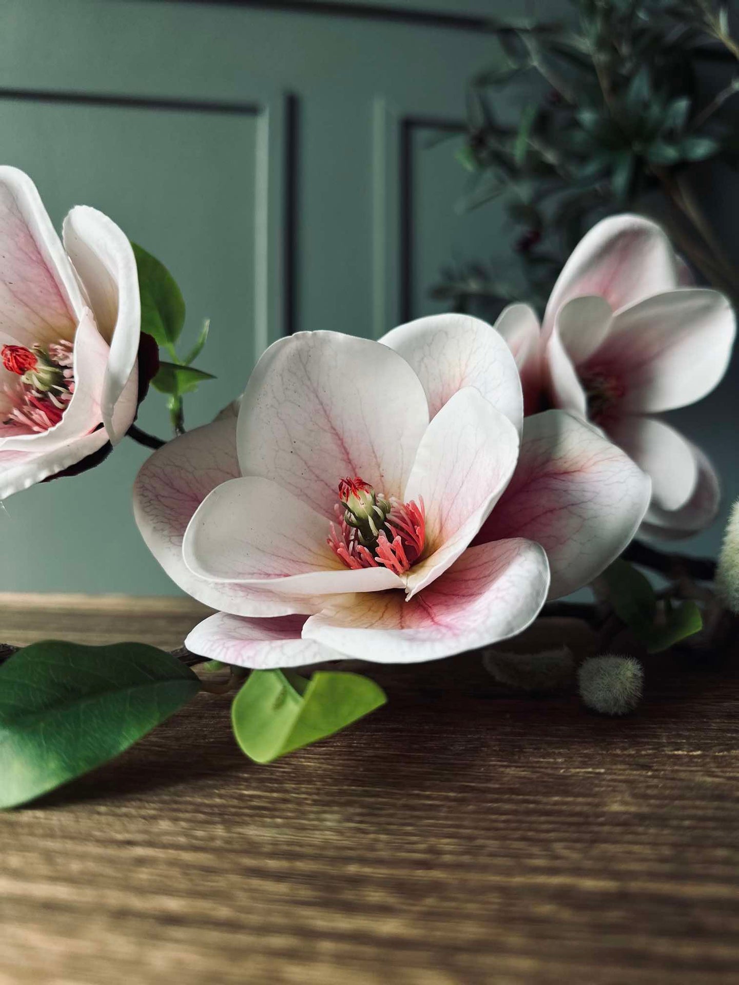 Magnolie - Rosa