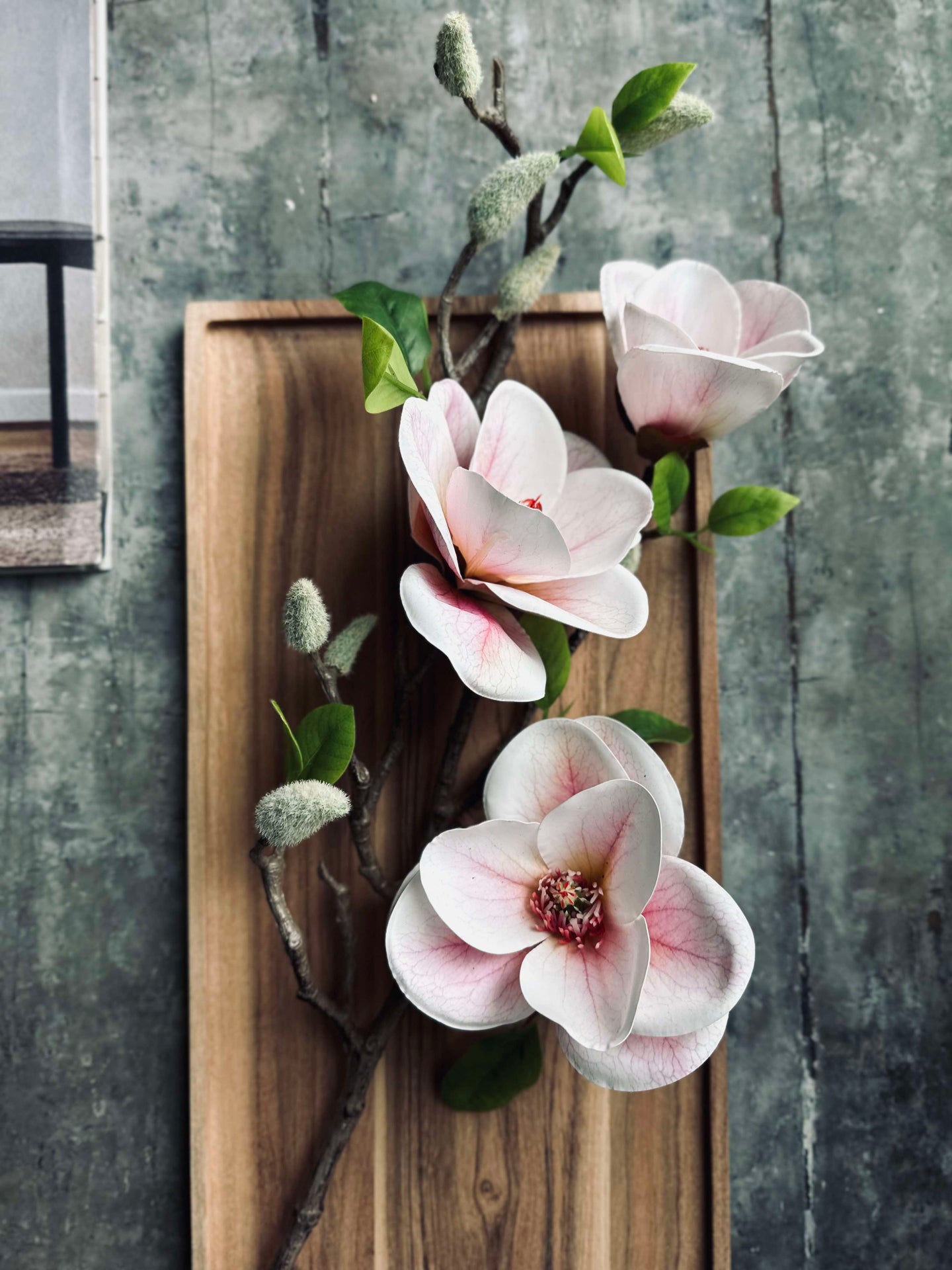 Magnolie - Rosa