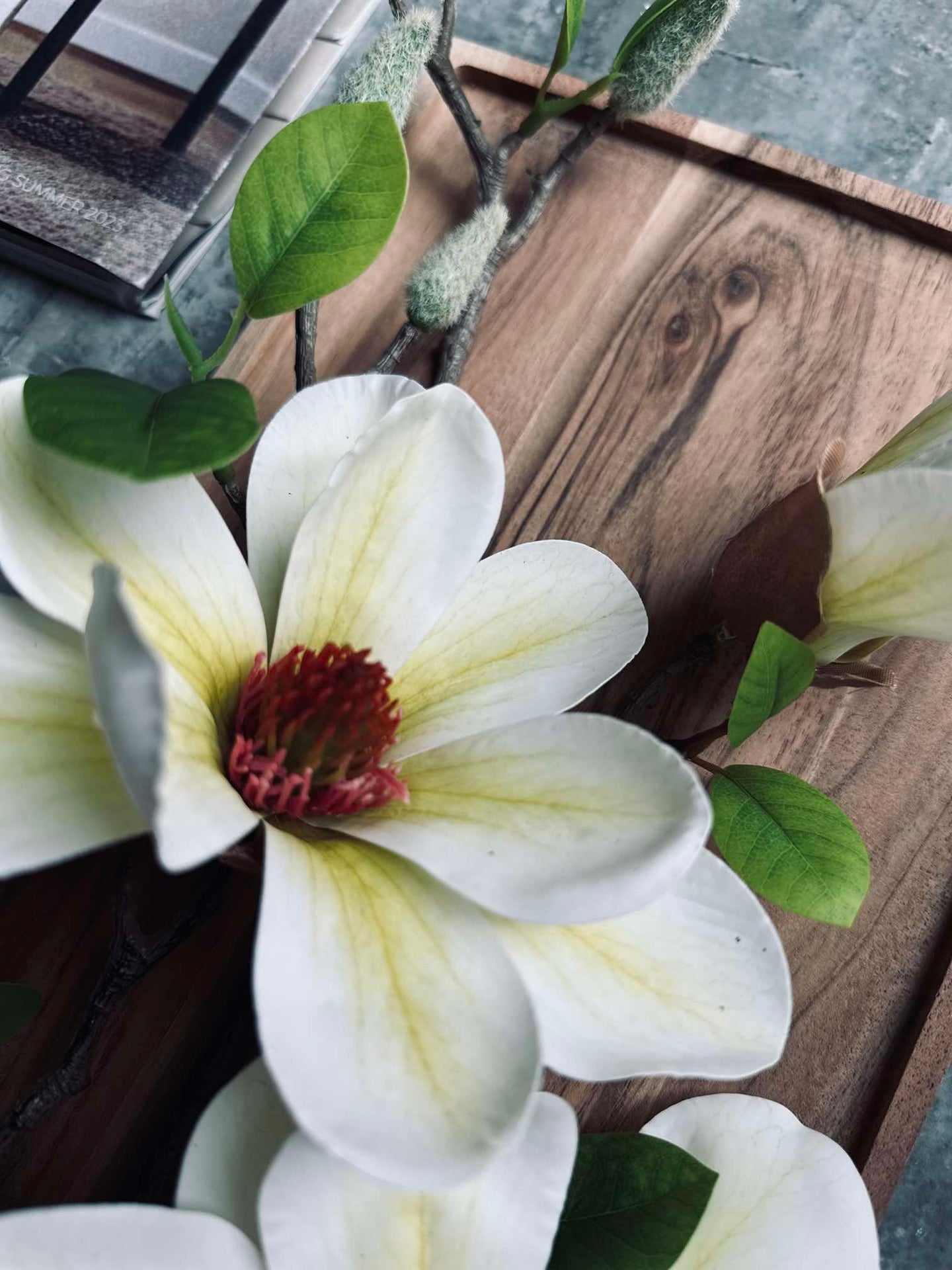 Blume Magnolia - Weiß