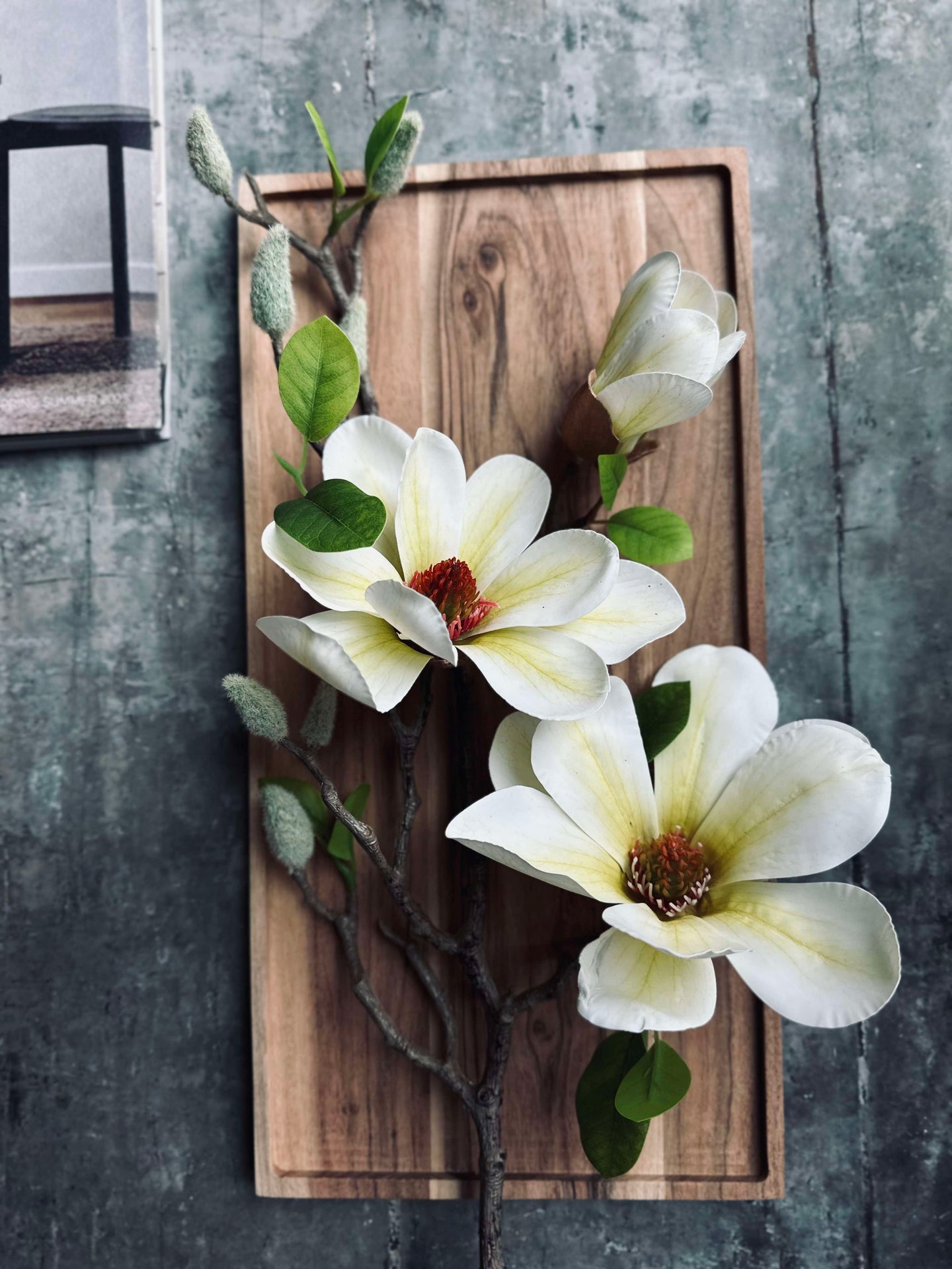 Blume Magnolia - Weiß