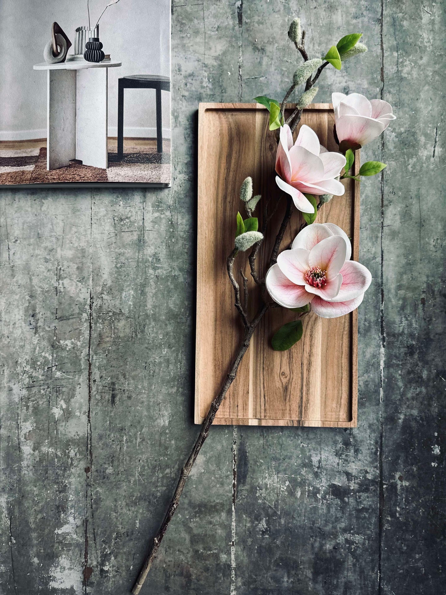 Magnolie - Rosa