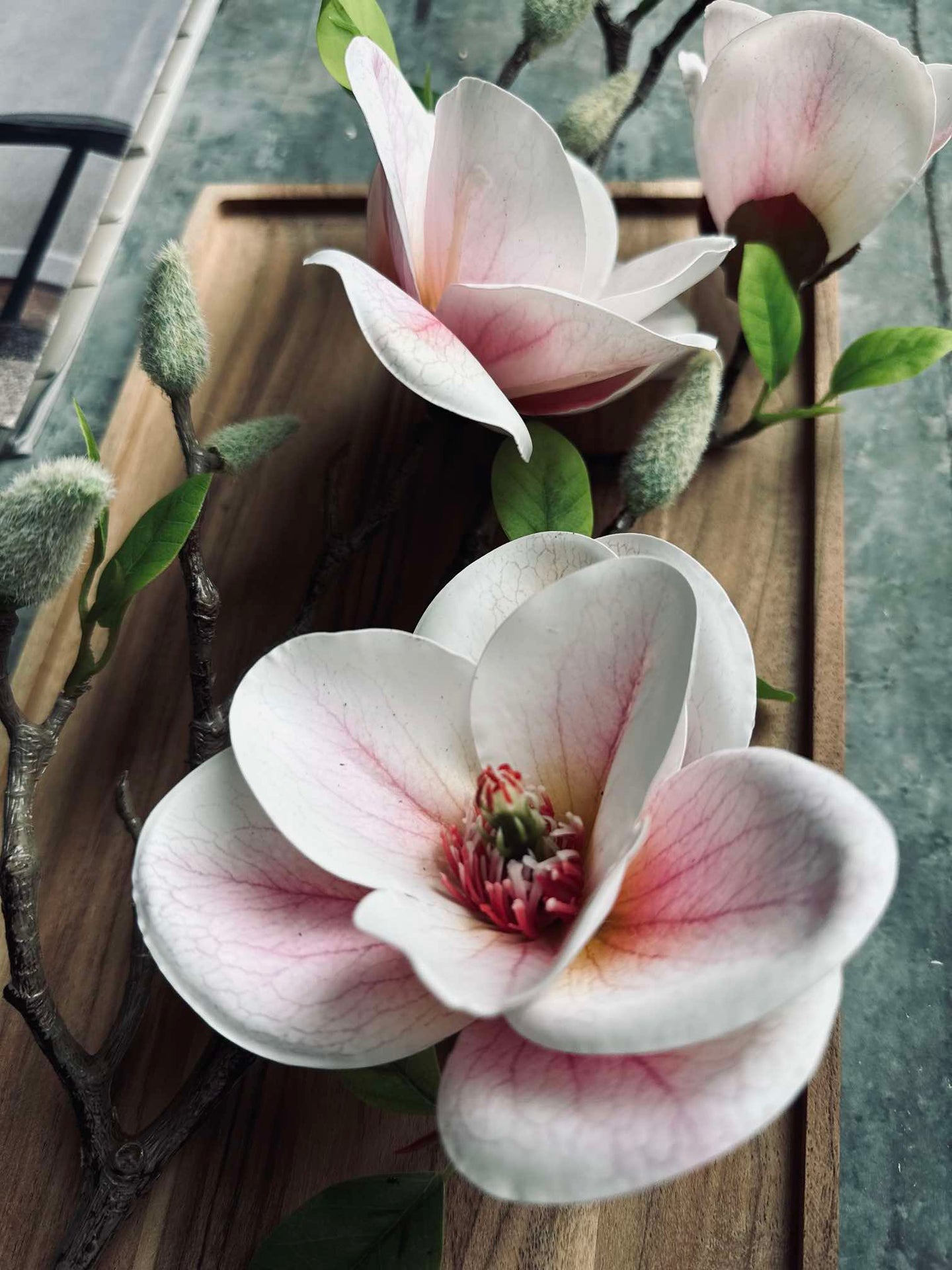 Magnolie - Rosa
