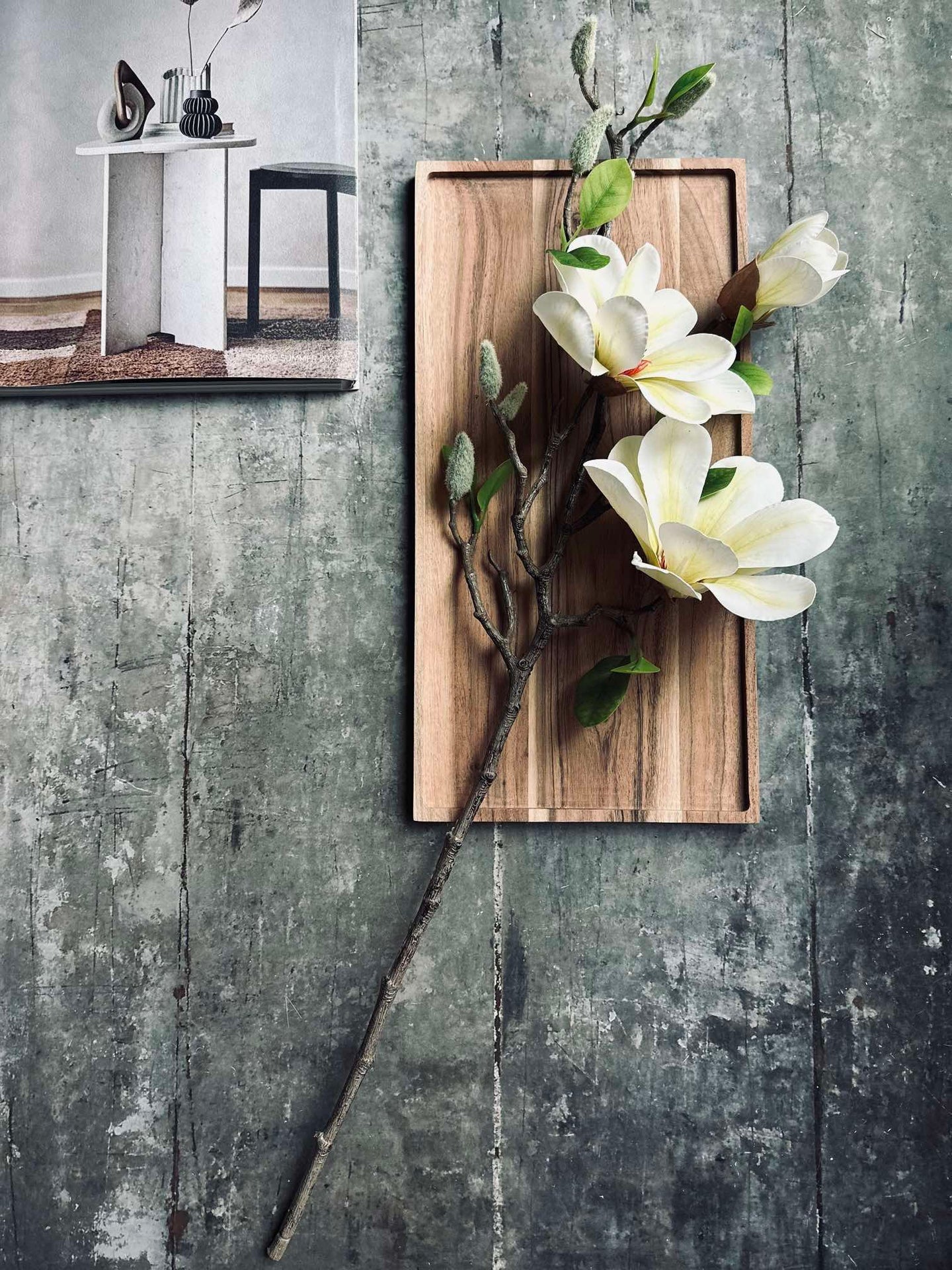 Blume Magnolia - Weiß