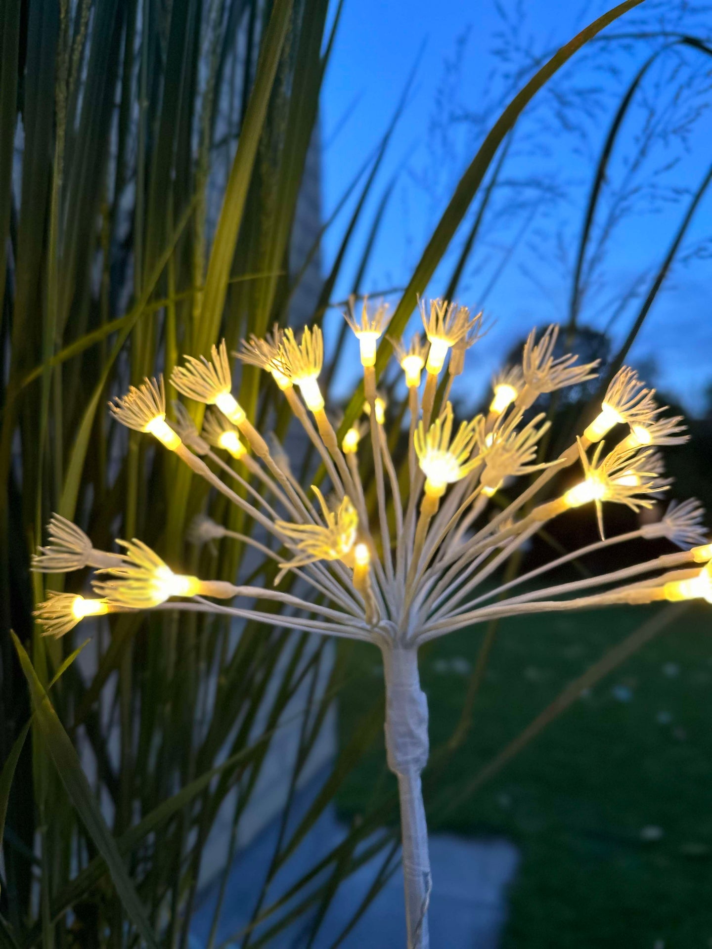 LED-Sterne am Spieß