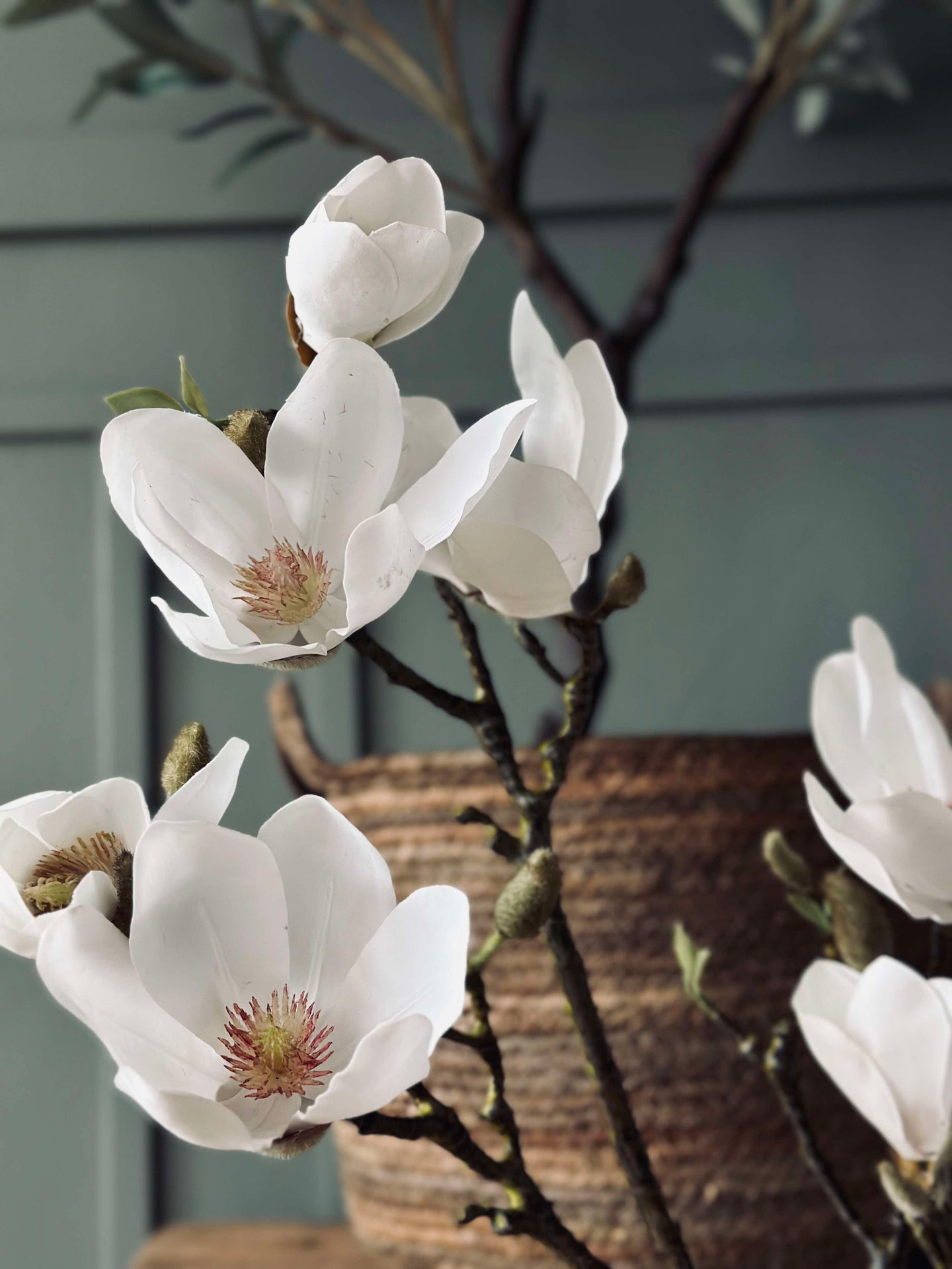 Magnolienblüte - Weiß 88 cm