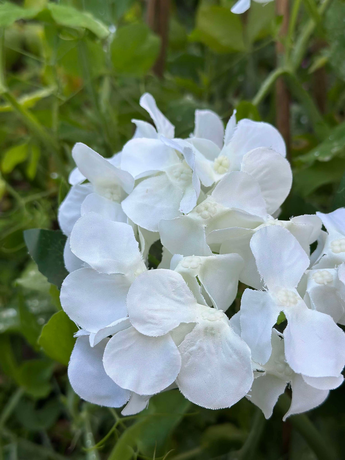 Hortensie mit Solarzellen - Weiß