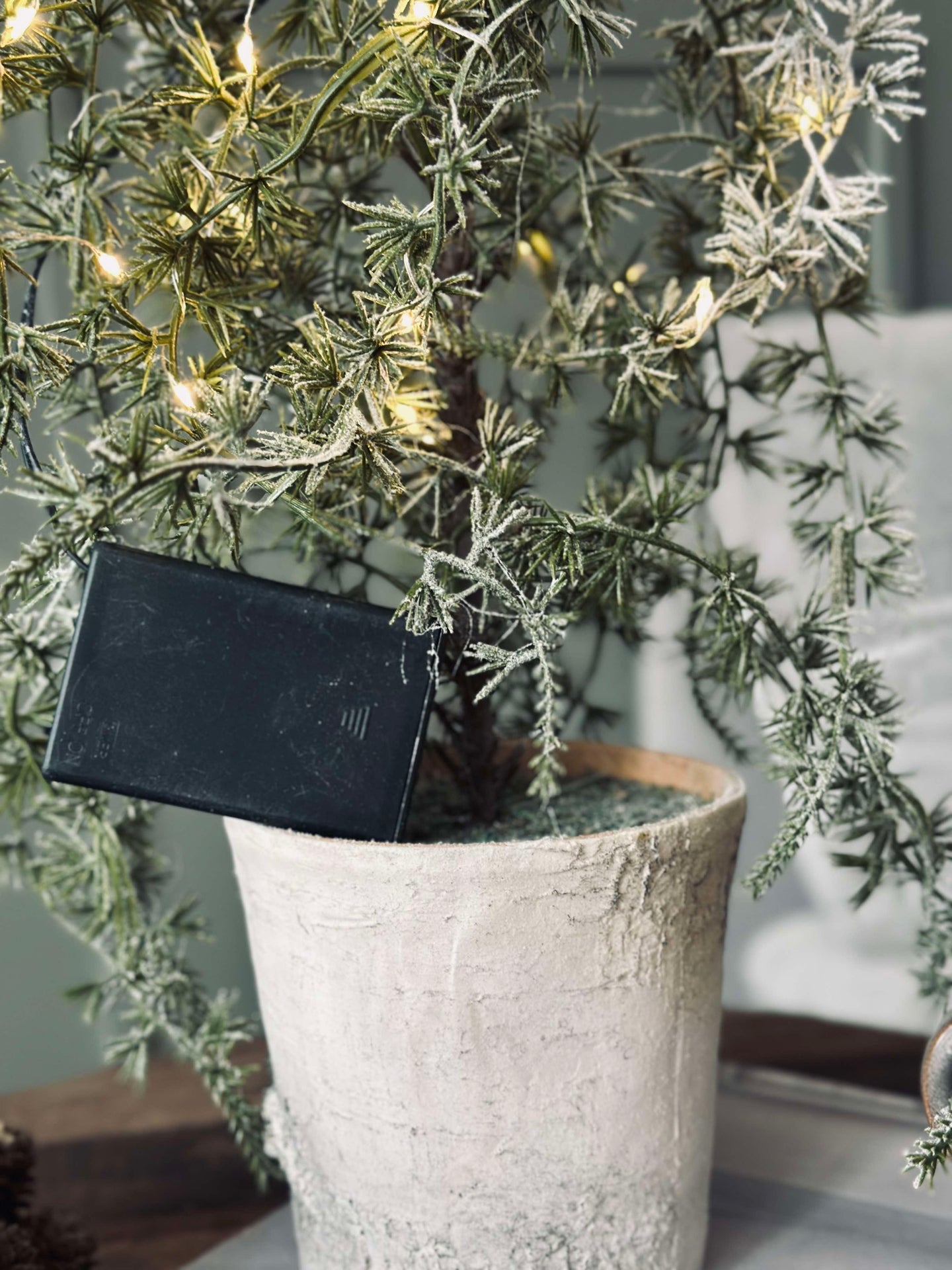 Zederbaum mit Licht - Hängend