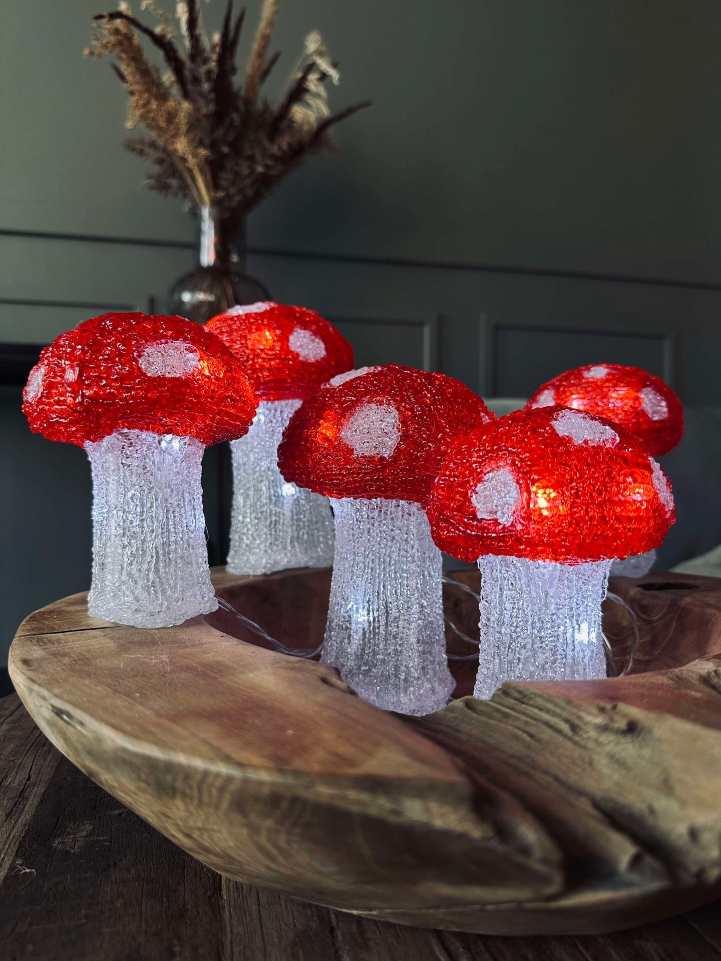 Mushroom-Set mit 5 Lampen - Für Innen- und Außenbereich zugelassen