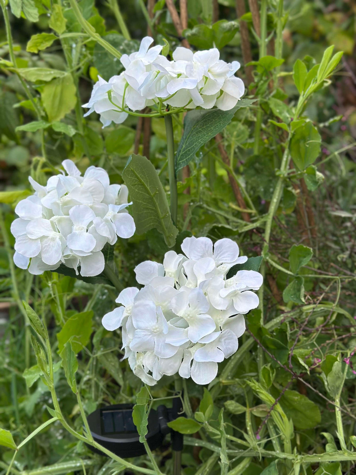 Hortensie mit Solarzellen - Weiß