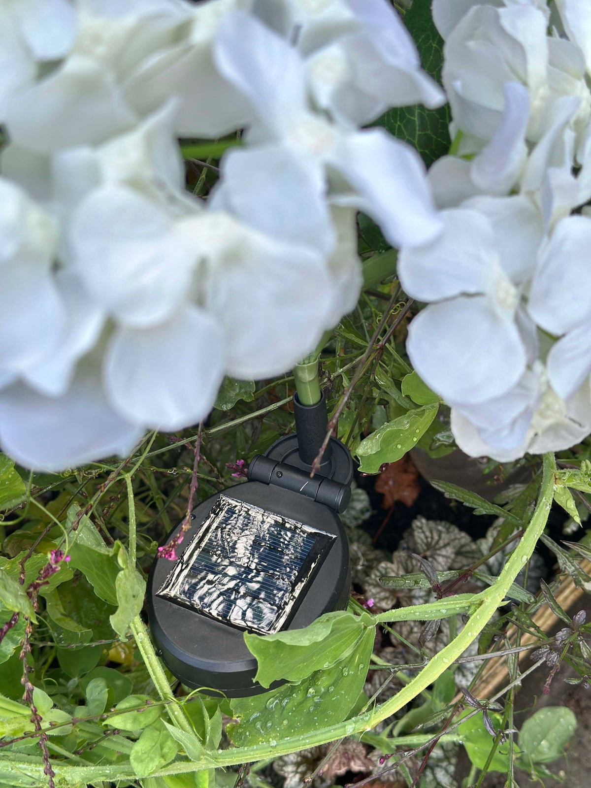 Hortensie mit Solarzellen - Weiß