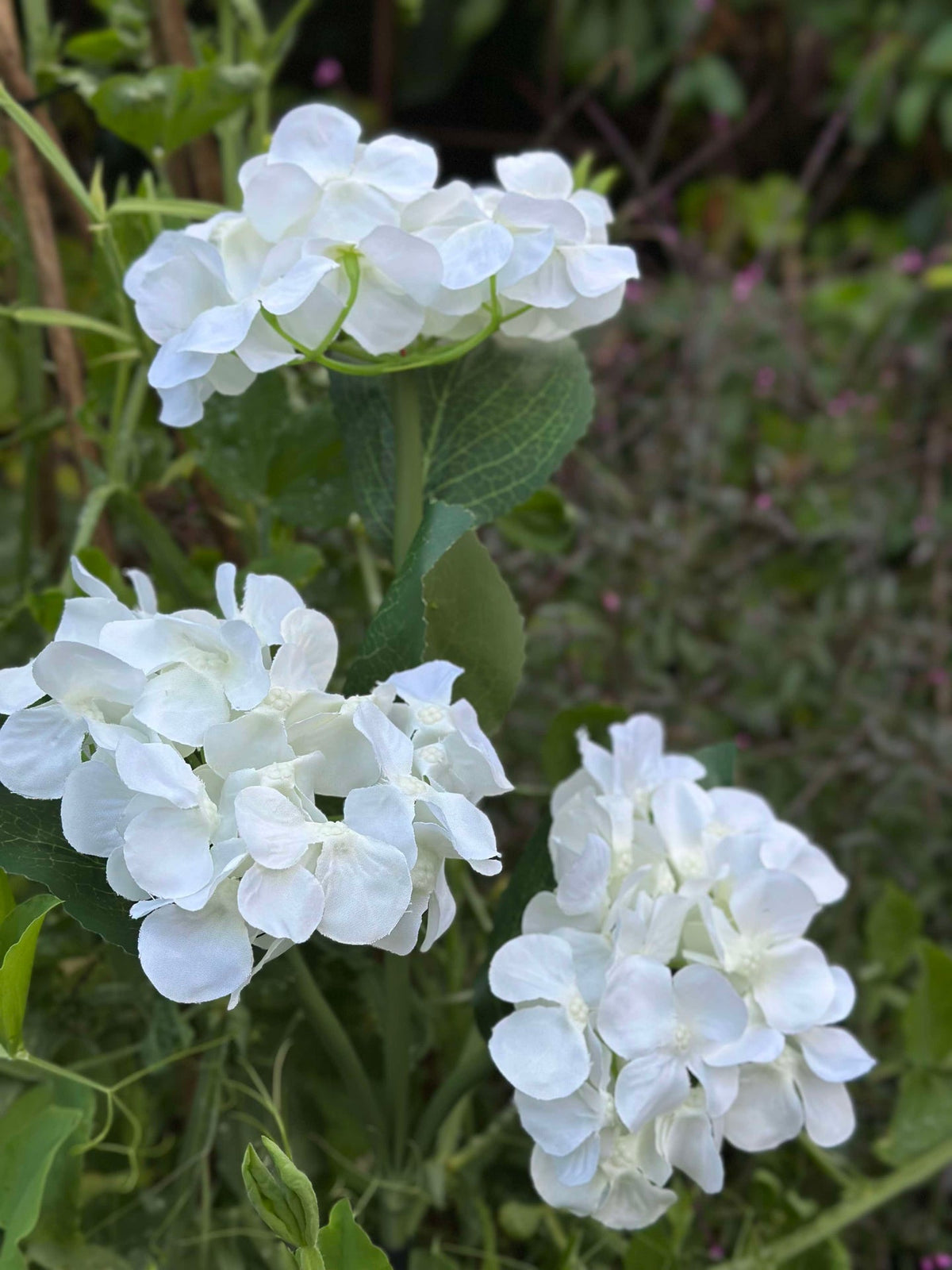 Hortensie mit Solarzellen - Weiß