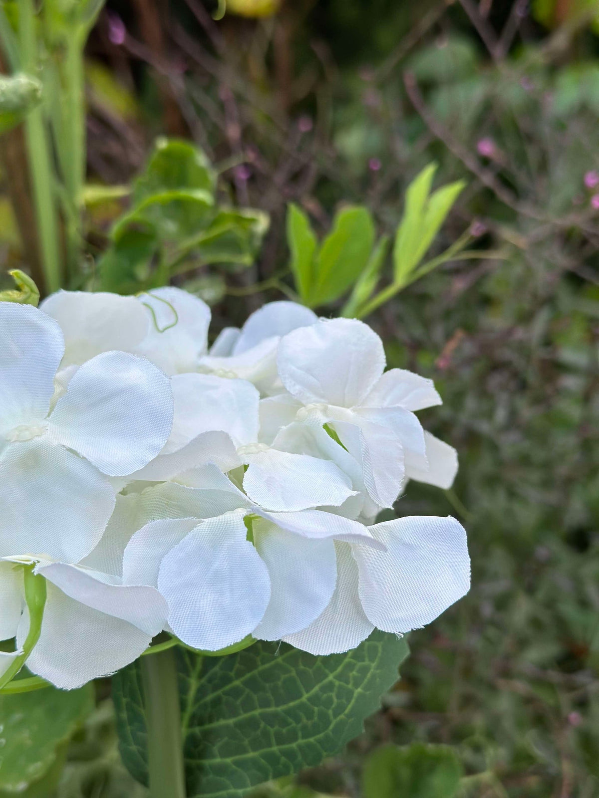Hortensie mit Solarzellen - Weiß