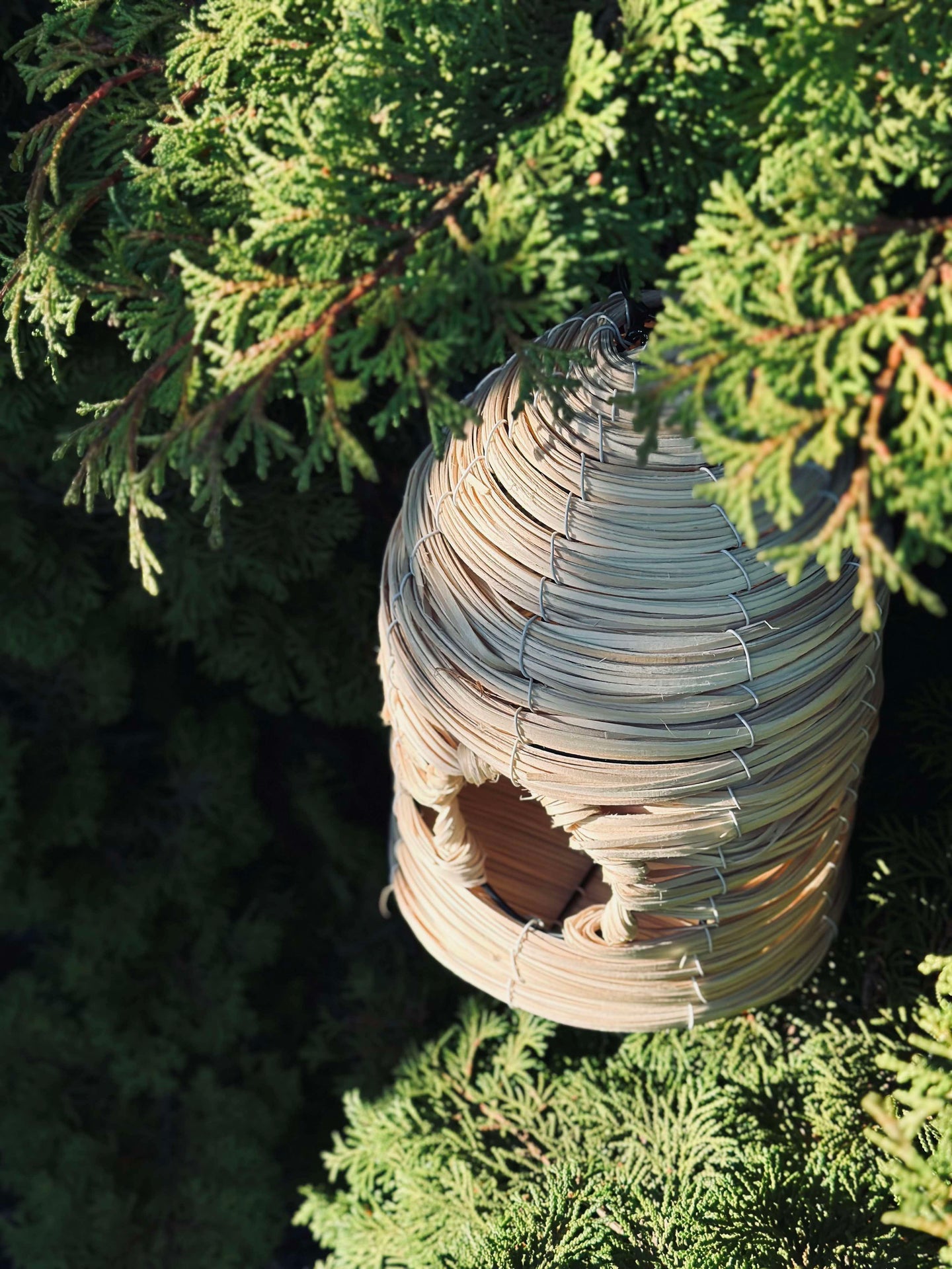 Fuglehus Nature