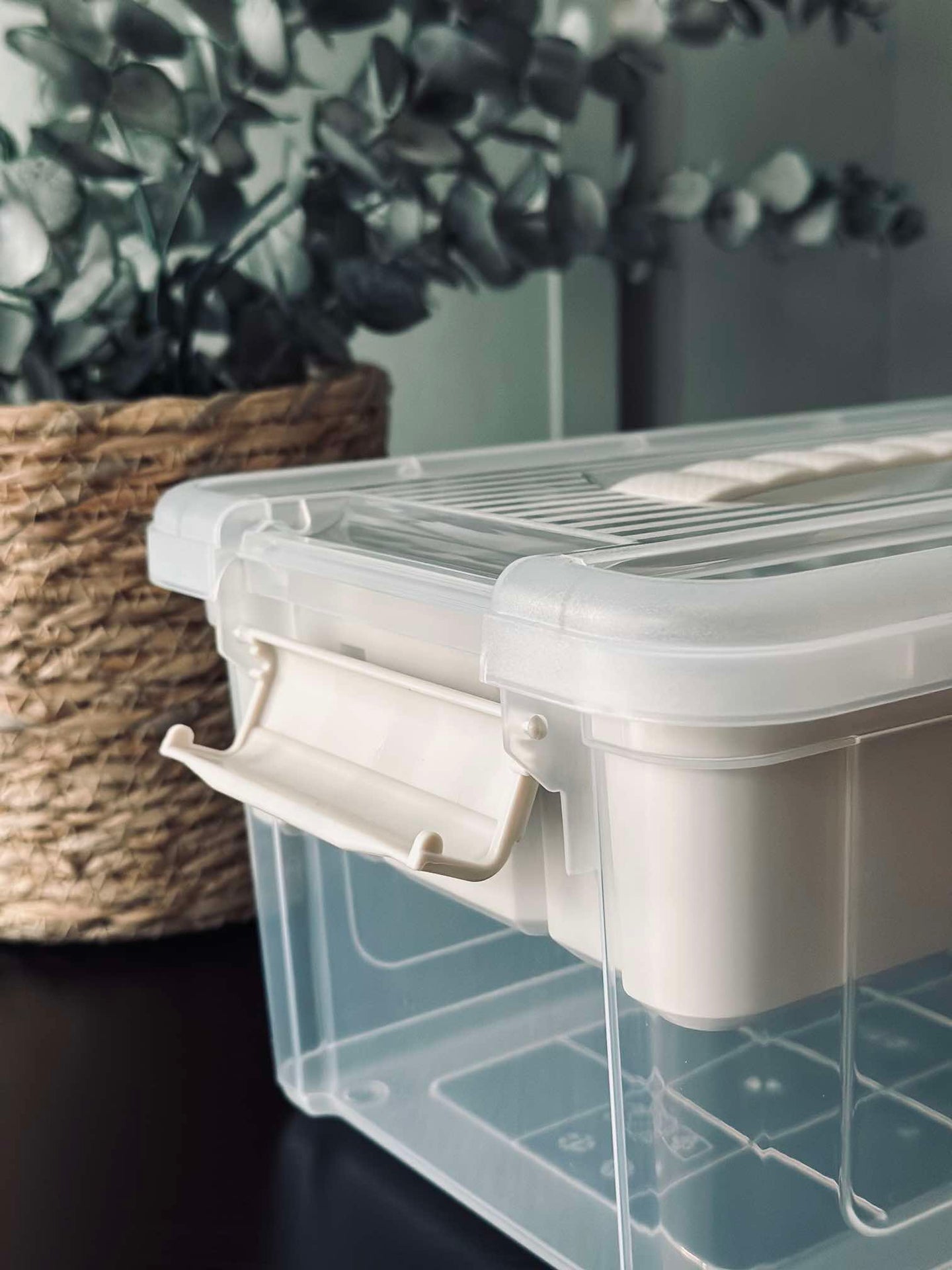 Aufbewahrungsbox - Transparent