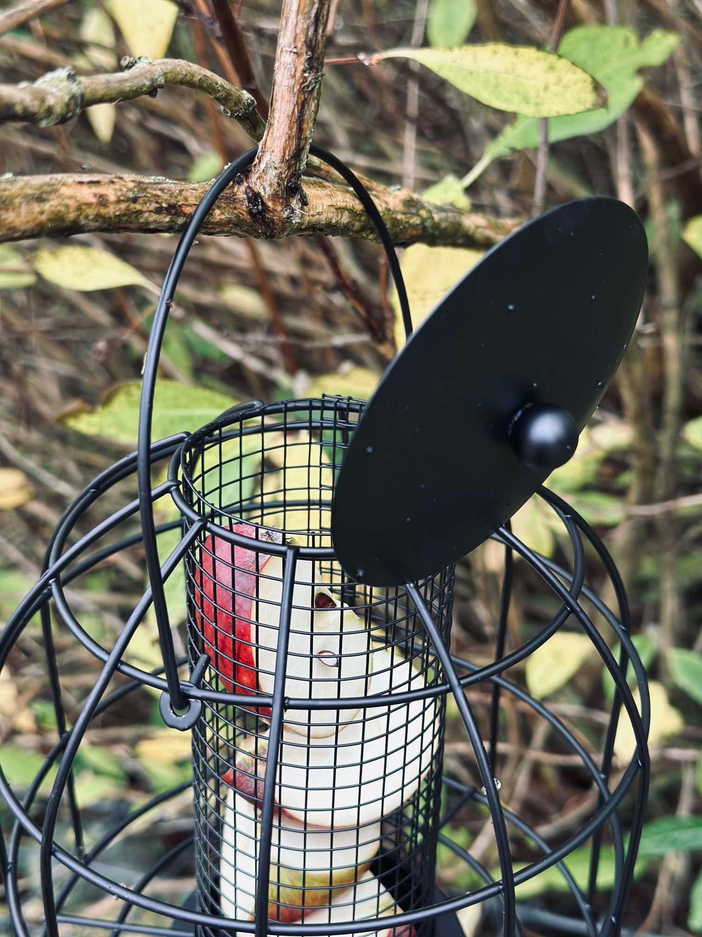 Vogelhaus aus schwarzem Metall