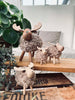 Elch Beige - Large
