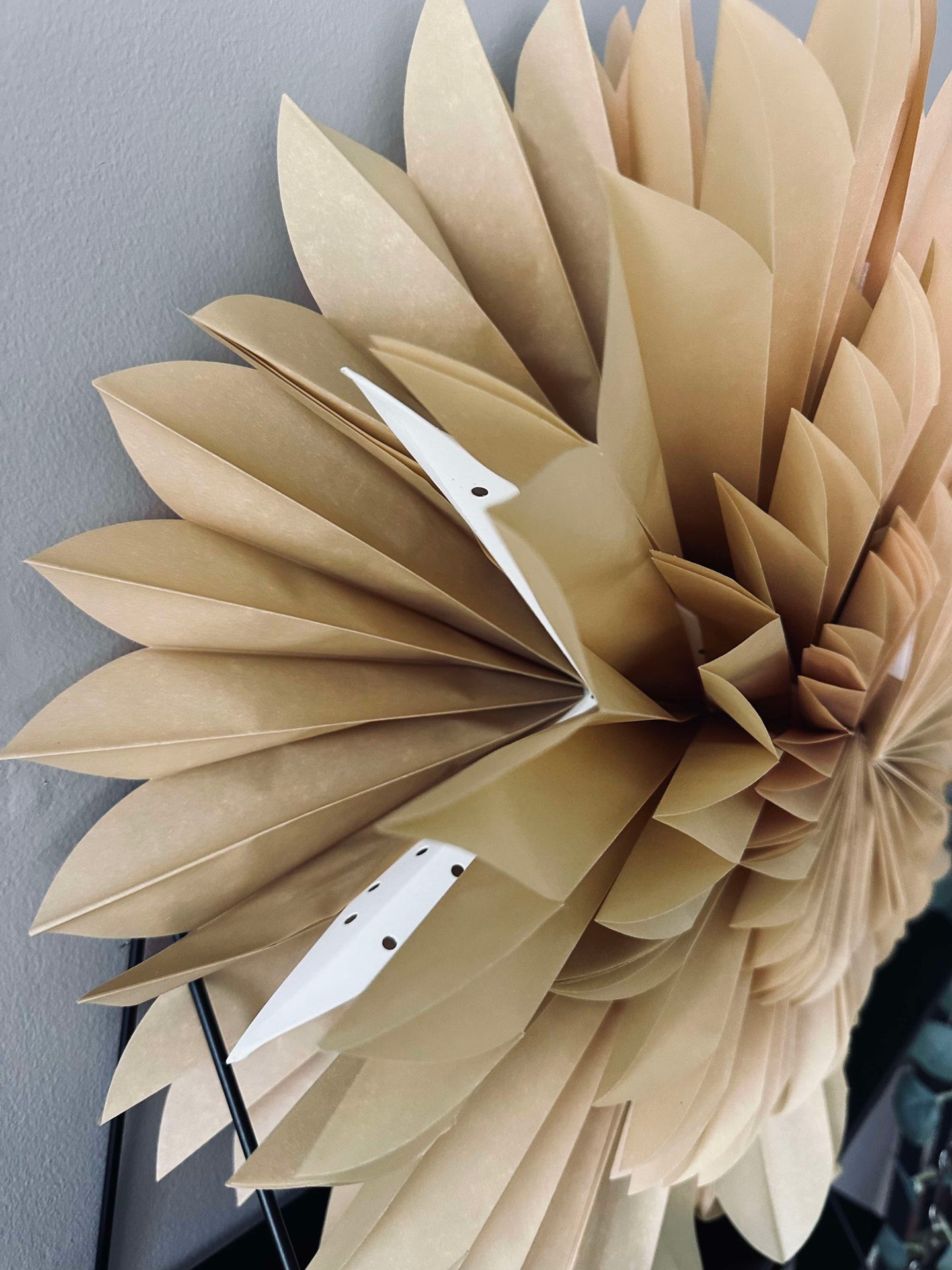 Stern Nature - 50 cm