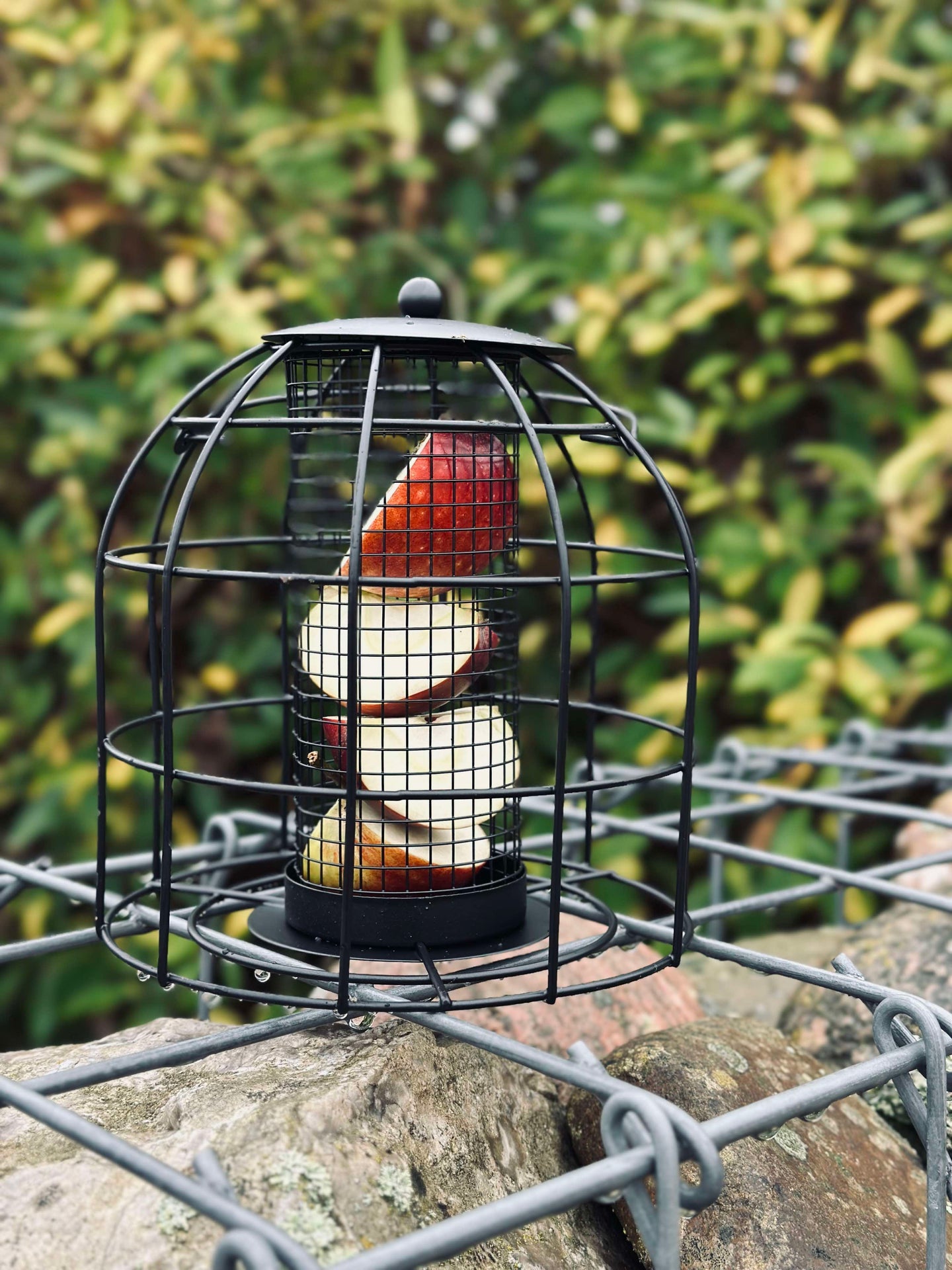 Vogelhaus aus schwarzem Metall
