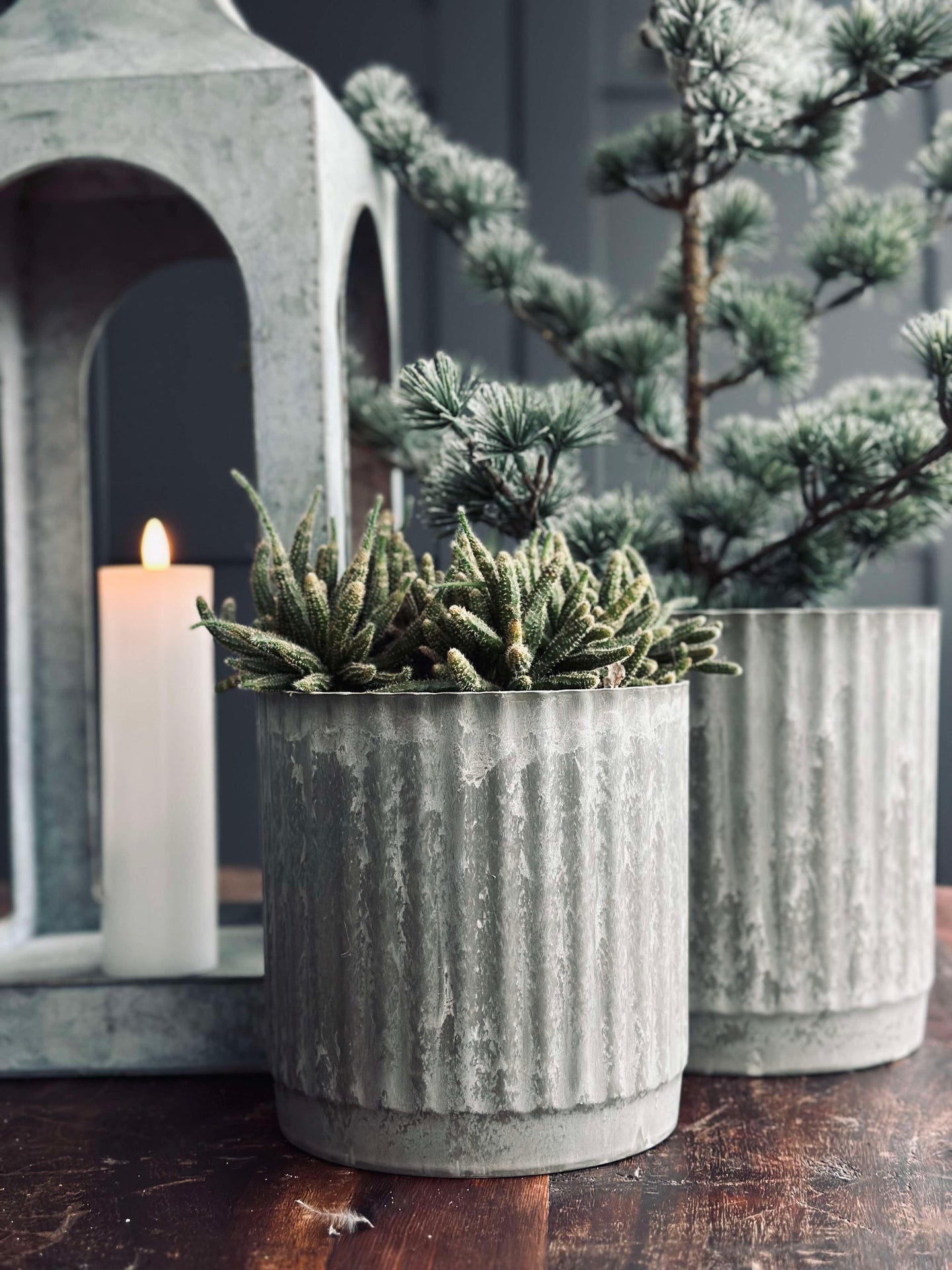 Kräutertöpfe im grünen Beton-Look - Set aus 2 Stk
