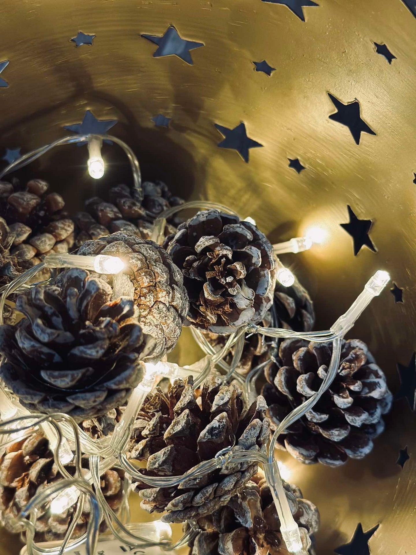 Lichterkette mit kleinen Zapfen