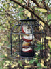 Vogelhaus aus schwarzem Metall