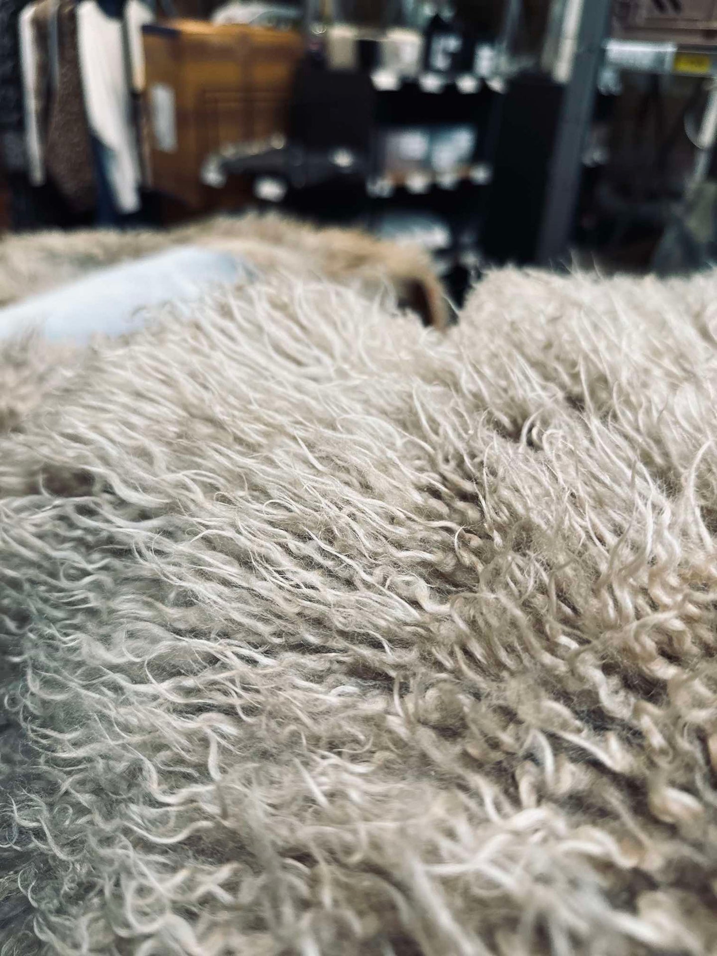 Isländisches Lammfell – Moccachino