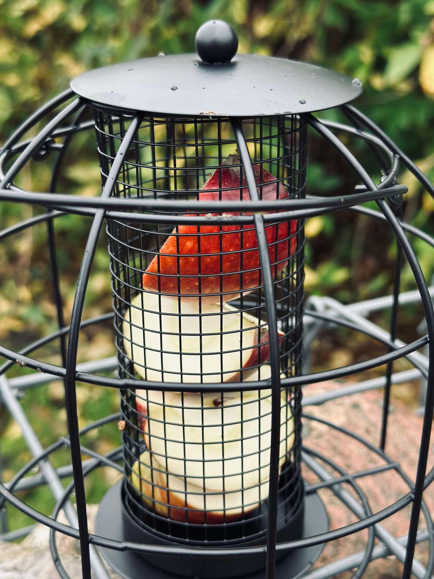 Vogelhaus aus schwarzem Metall