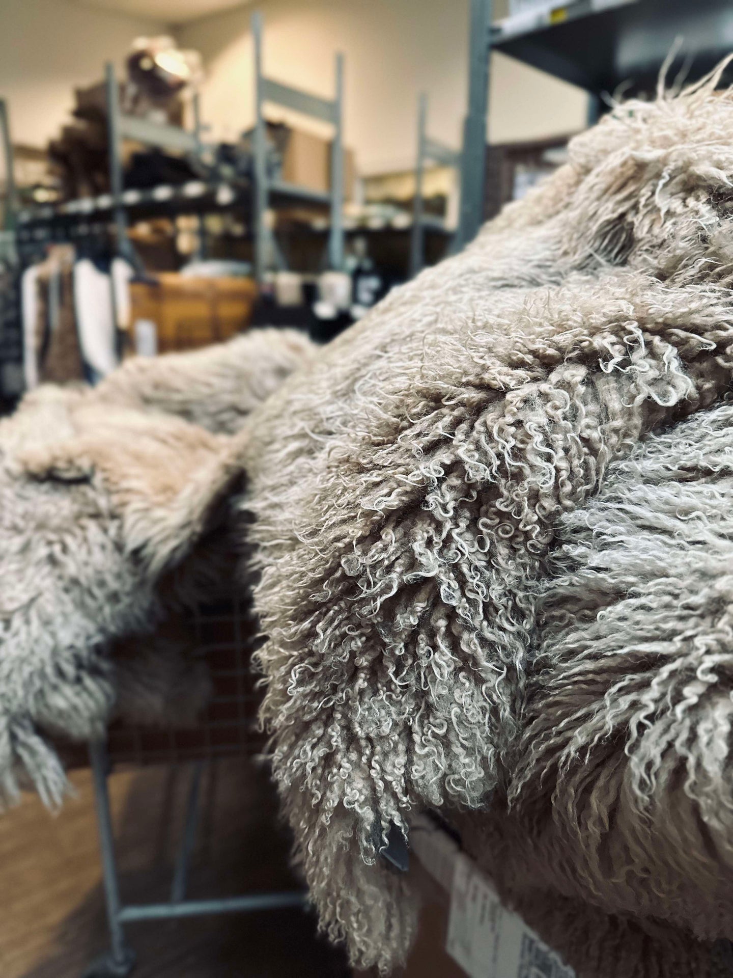 Isländisches Lammfell – Moccachino