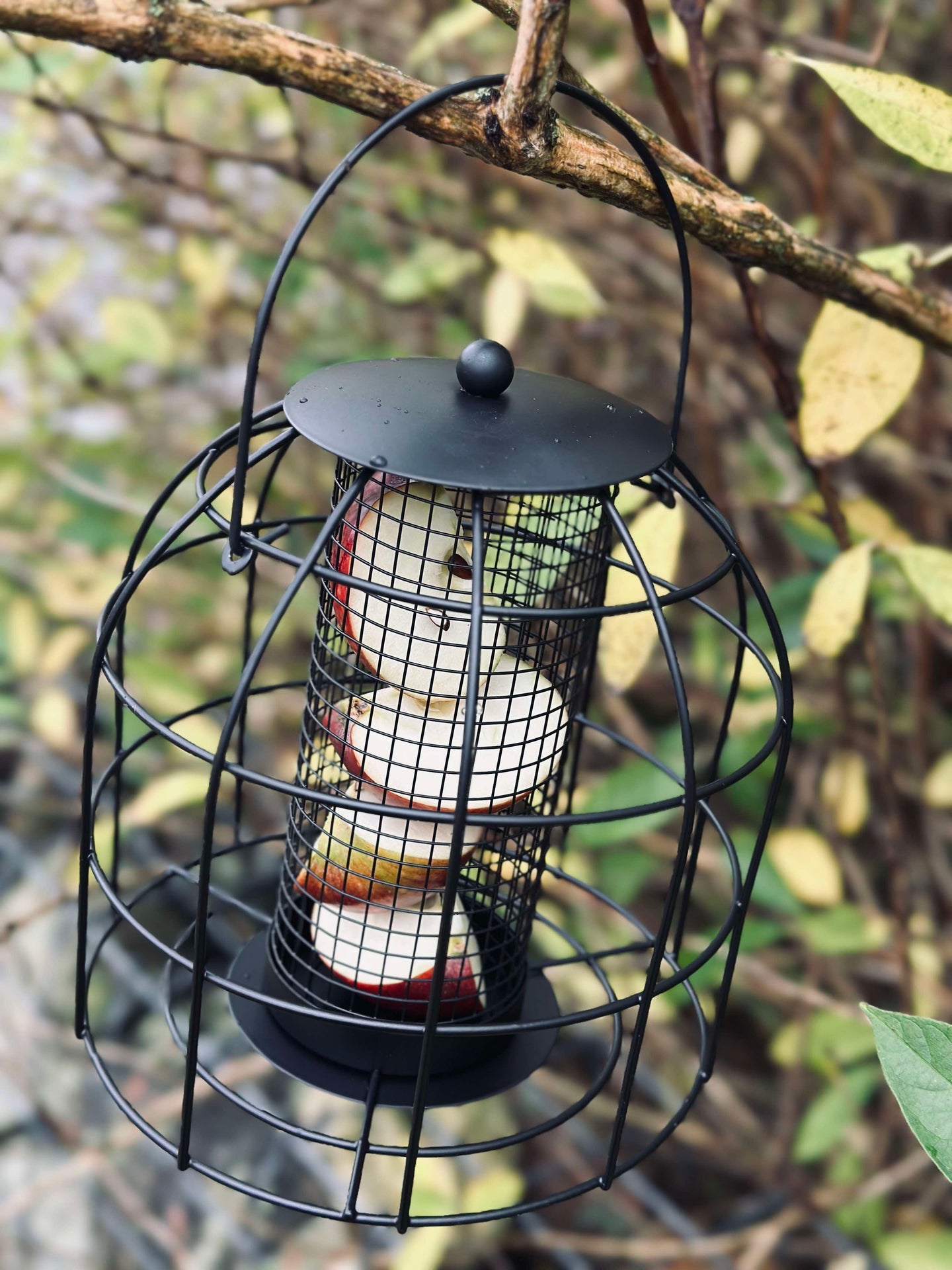 Vogelhaus aus schwarzem Metall