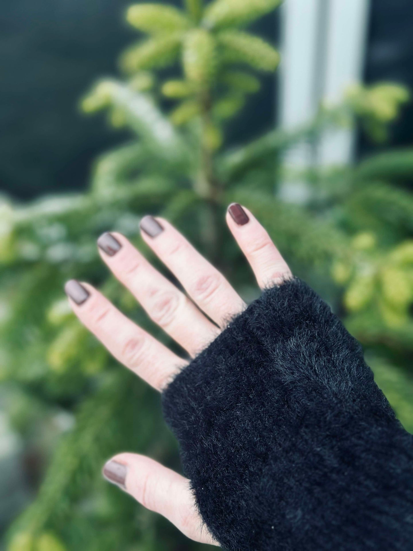 Handschuhe - Schwarzer Plüsch