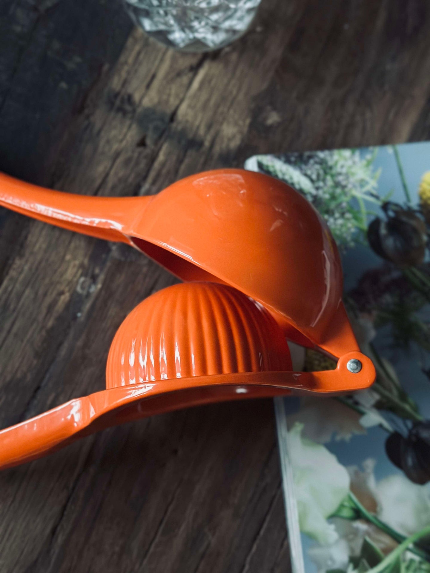 Orangensaftpresse Aluminium