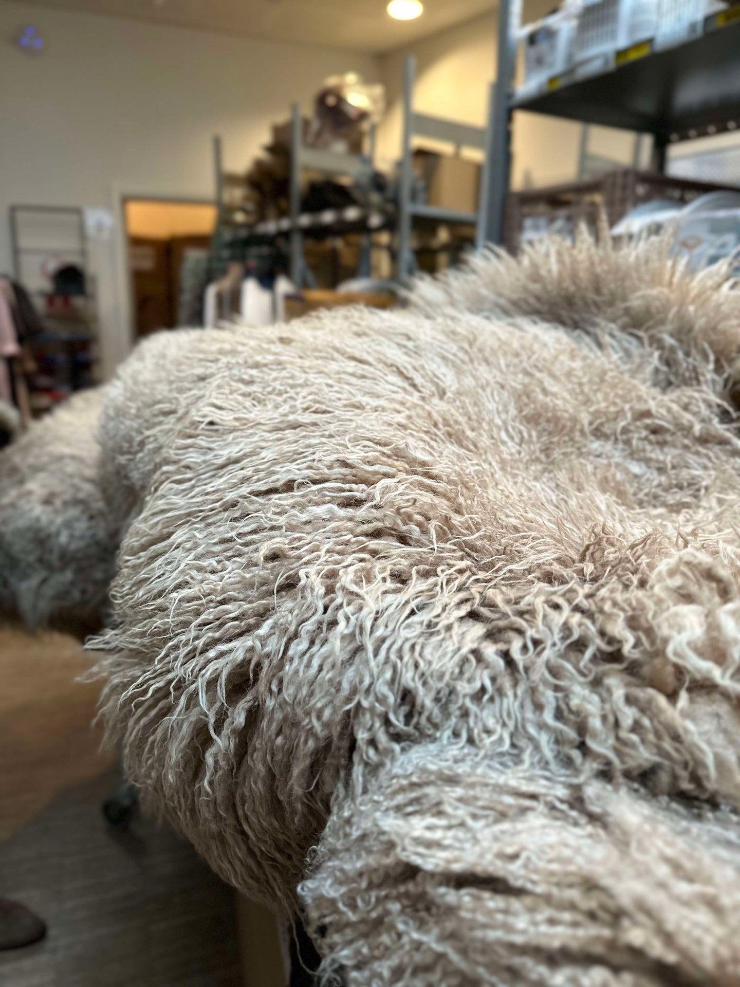 Isländisches Lammfell – Moccachino