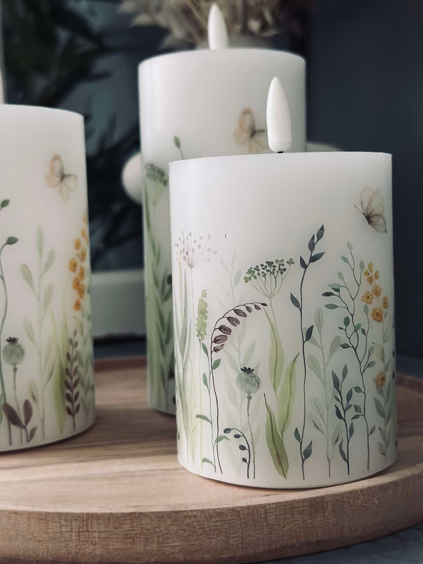 LED WILD FLORA – Set mit 3 Stück und Fernbedienung