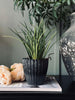 Kräutertopf in Stone-Betonoptik - Klein
