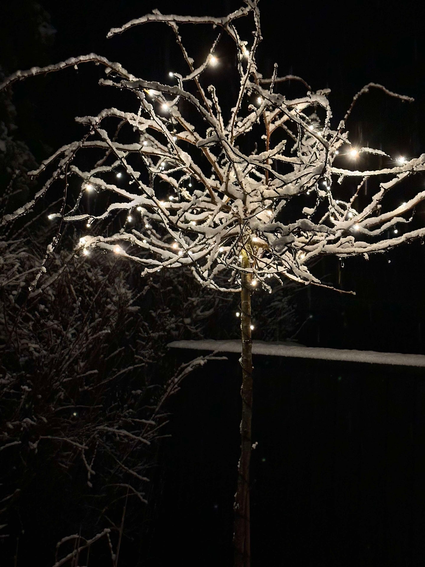 Lichterkette mit Solarzellen - Extra kräftig mit 400 LEDs