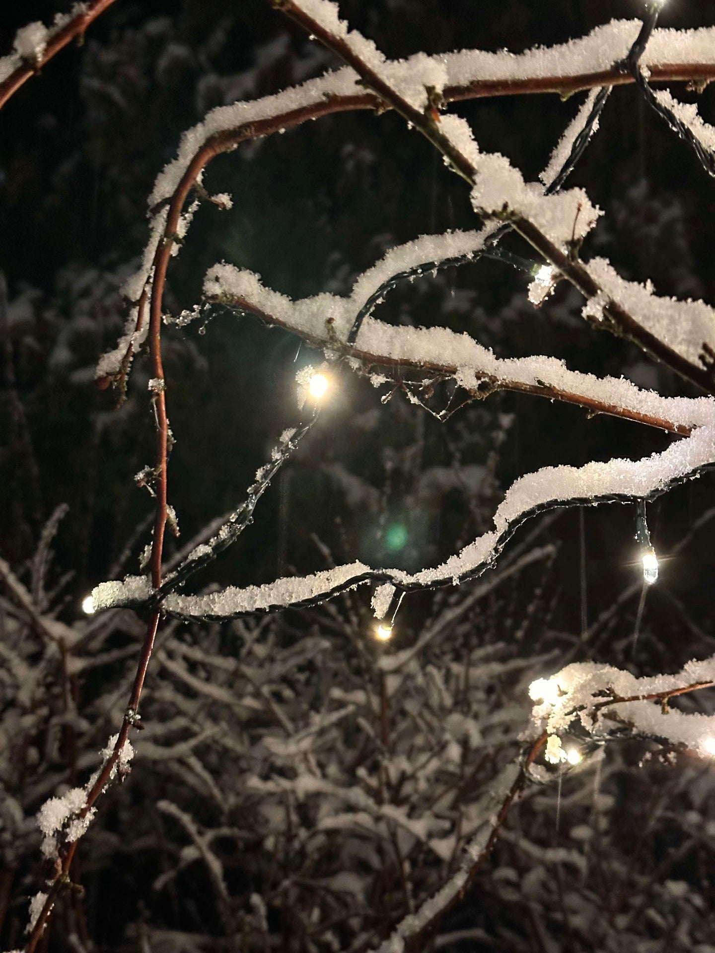 Lichterkette mit Solarzellen - Extra kräftig mit 400 LEDs