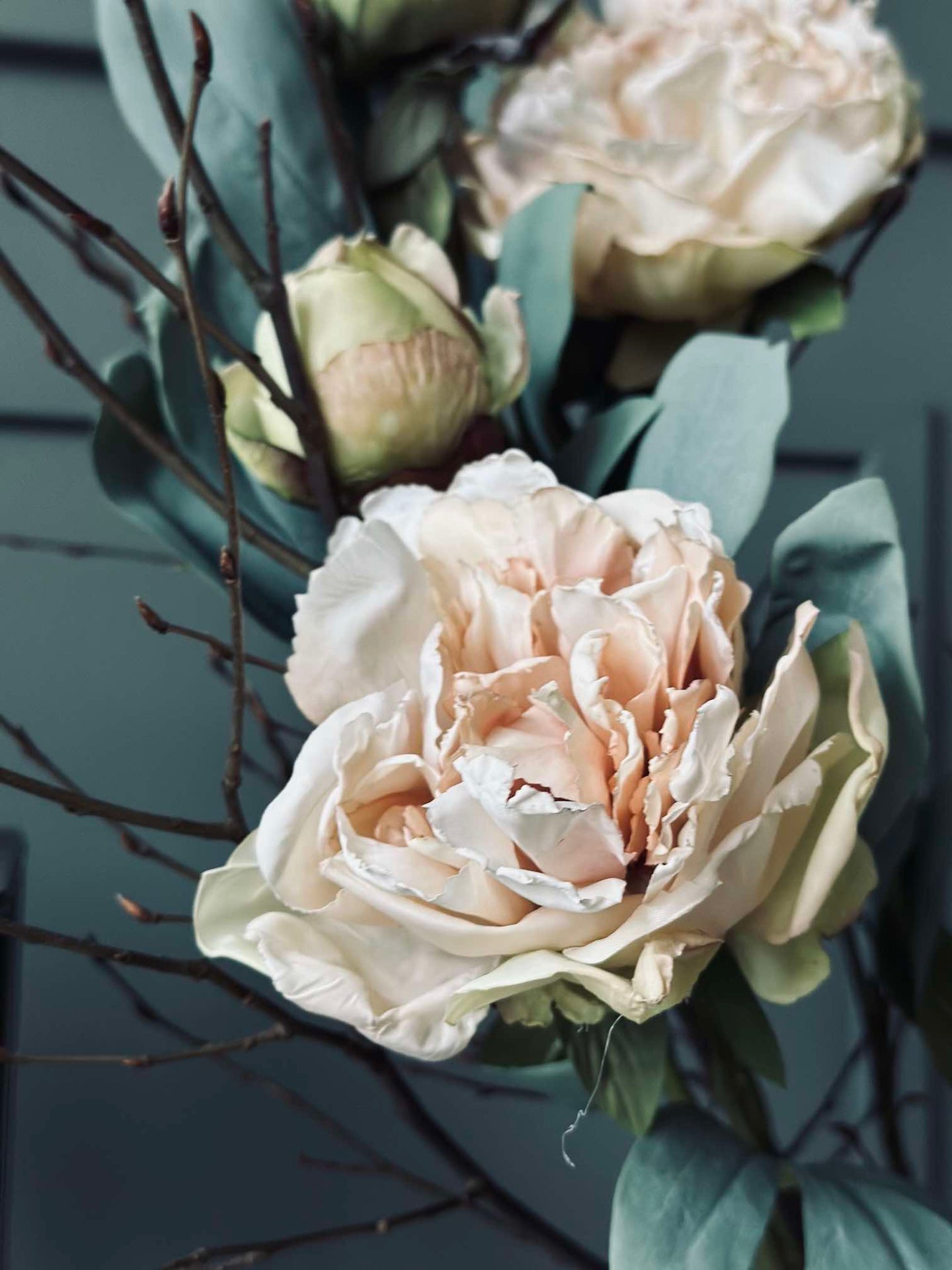 Blume Pfingstrose Creme