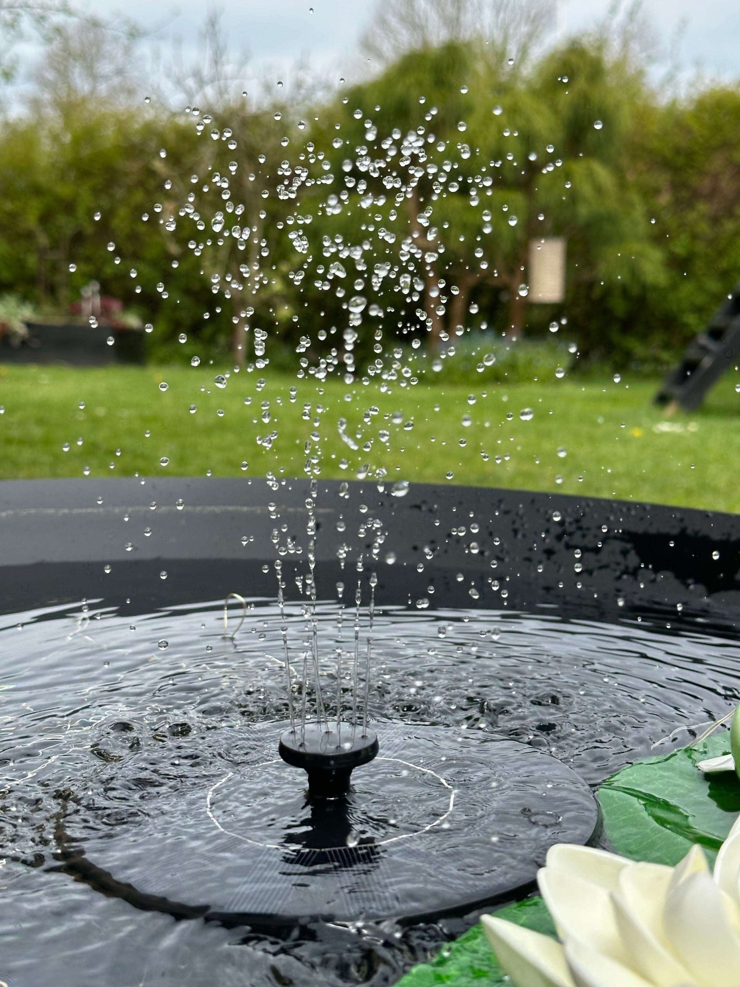 Solar springvand - Garden