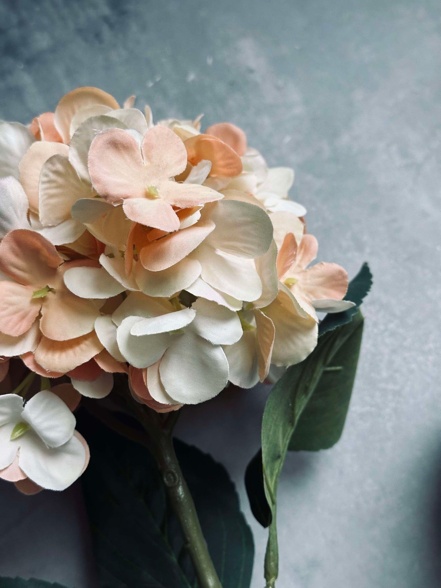Blomst silk Hortensia Gylden