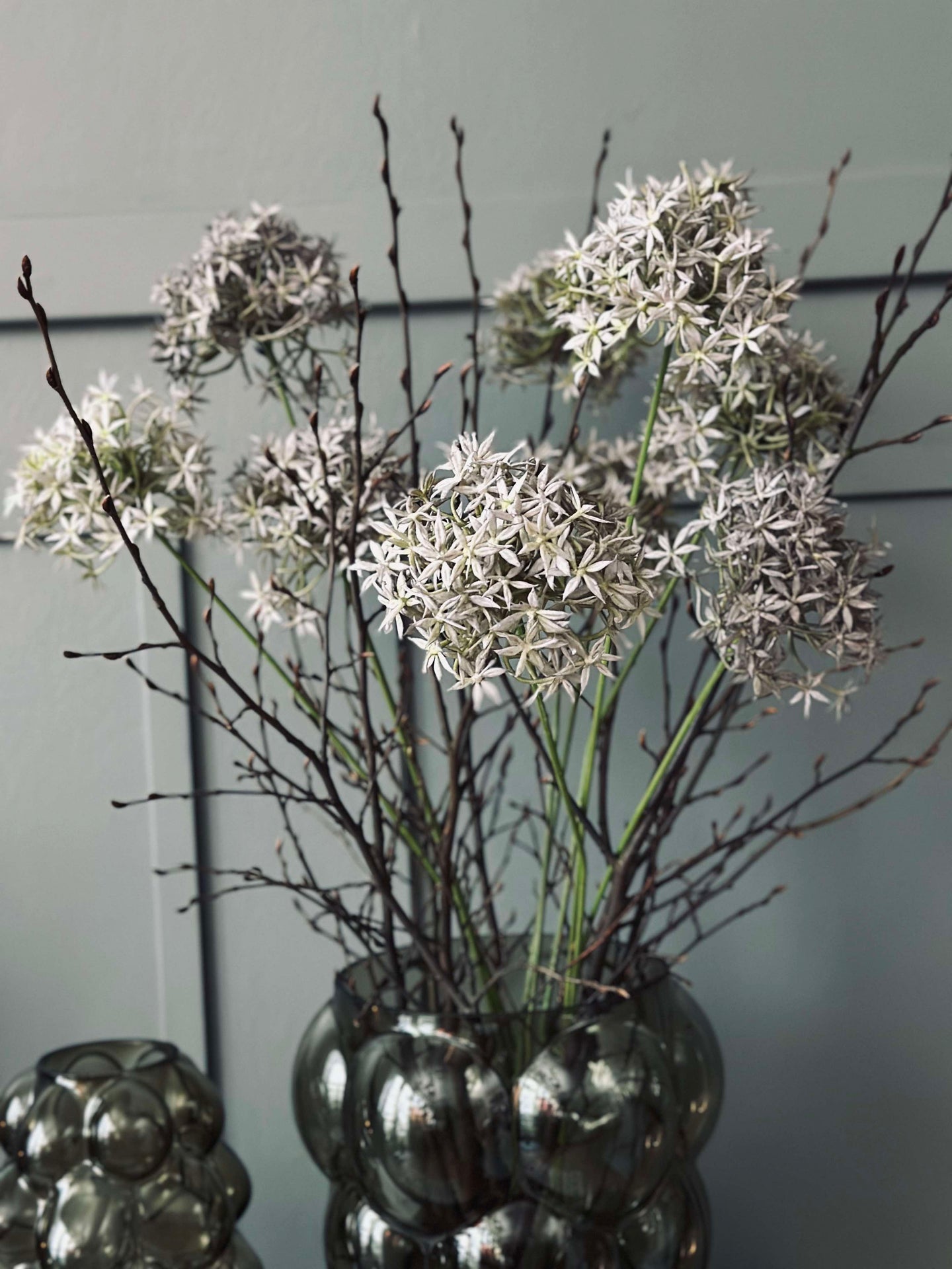Allium-Blume